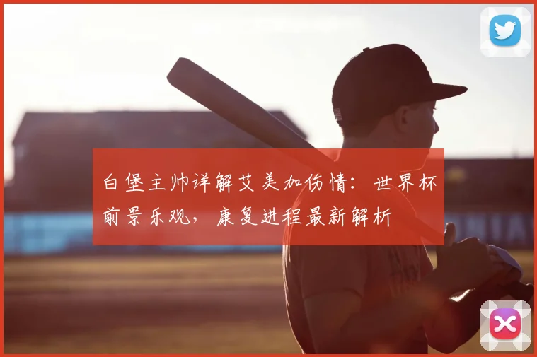 白堡主帅详解艾美加伤情:世界杯前景乐观,康复进程最新解析