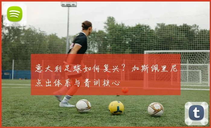 意大利足球如何复兴？加斯佩里尼点出体系与青训核心