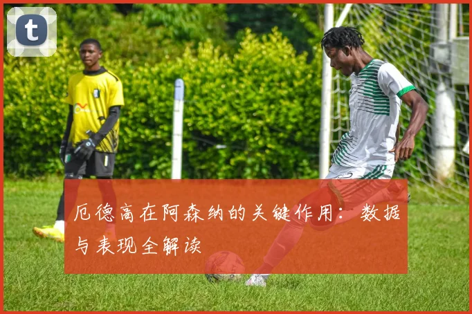 厄德高在阿森纳的关键作用:数据与表现全解读