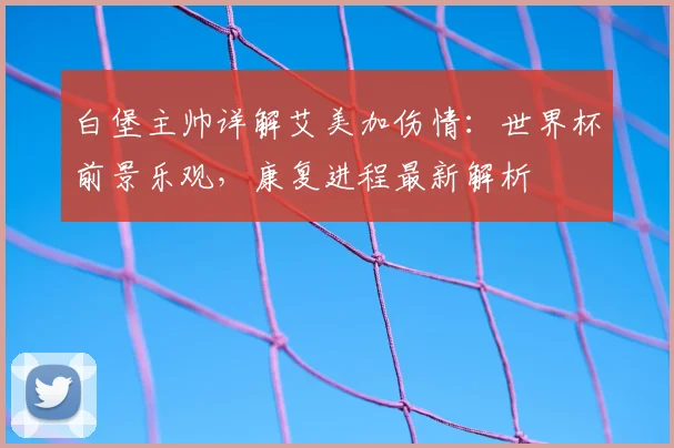 白堡主帅详解艾美加伤情:世界杯前景乐观,康复进程最新解析